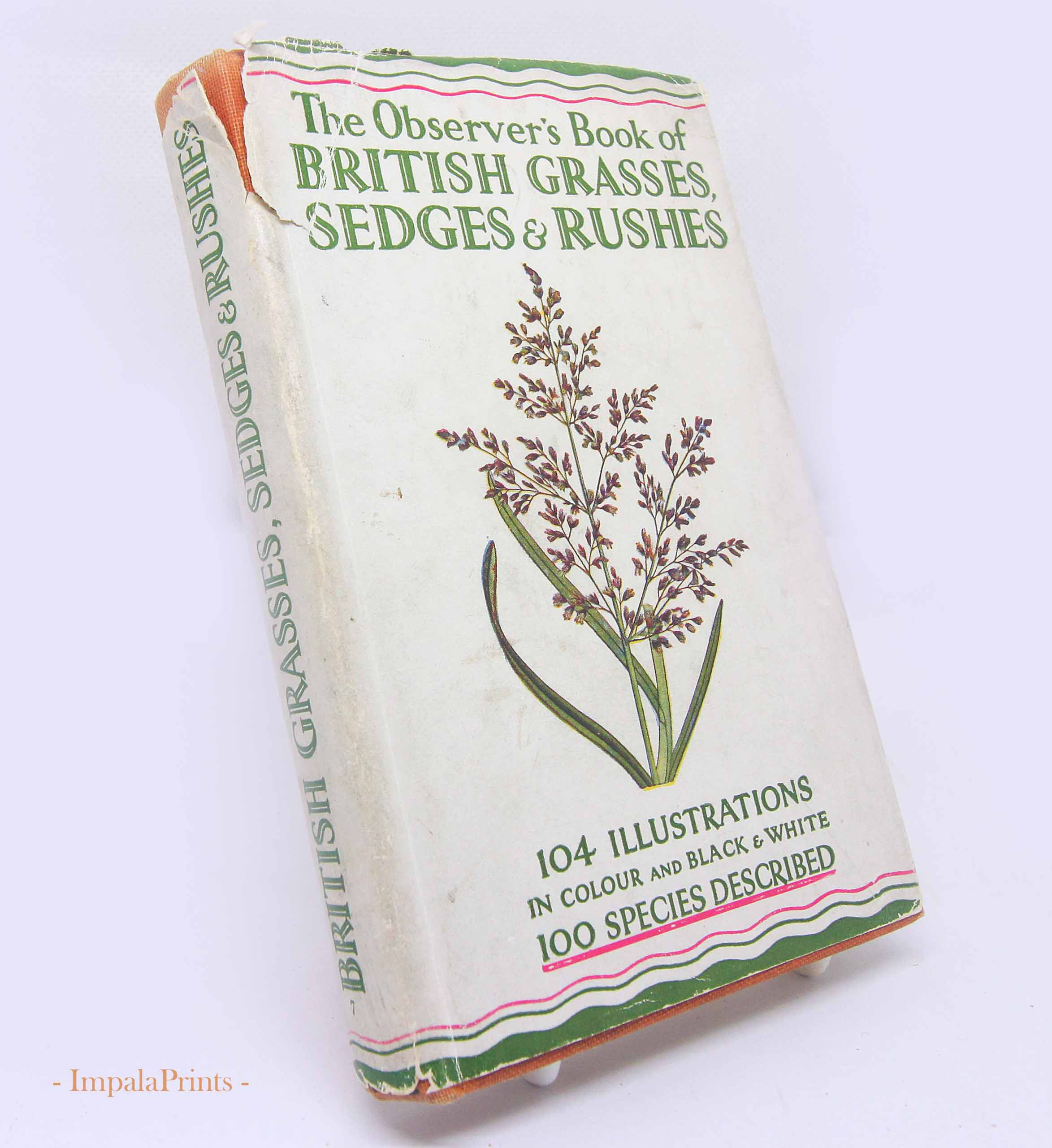 Vintage Sedge Rushes and Grass book 1950s Illustrated Plants Picture book Flower