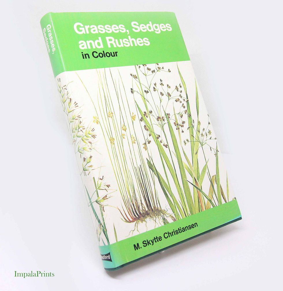 Vintage 1970s Illustrated Plant Guide Book Sedges Rushes Grasses Botanical Flowe