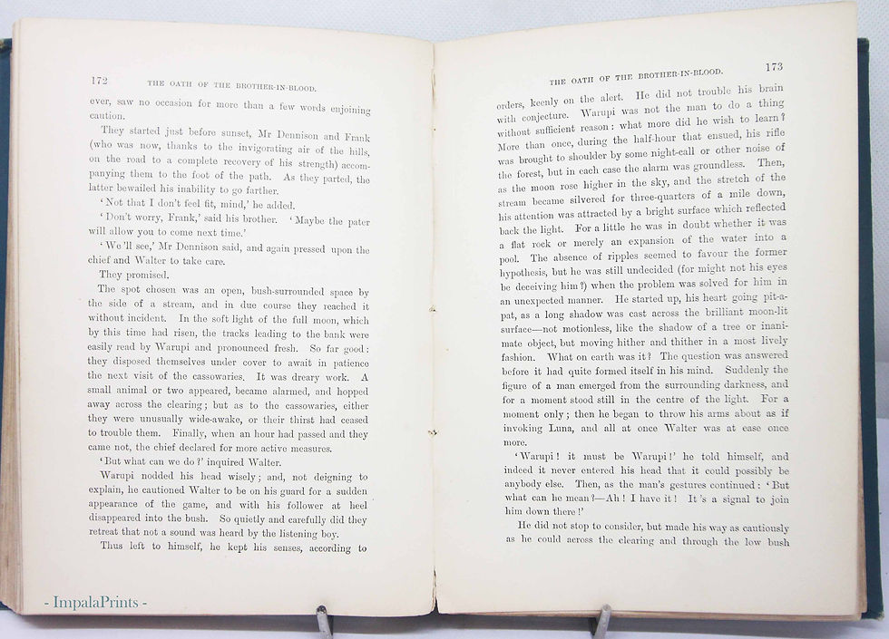 Thumbnail: In the Land of the Golden Plume 1894 Vintage Sea Adventure Book, Antique Marine
