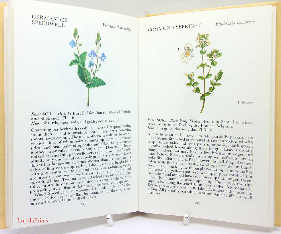Thumbnail: Wild Flowers Illustrated Plants Flower Picture book Flowers guide Old Retro Vint
