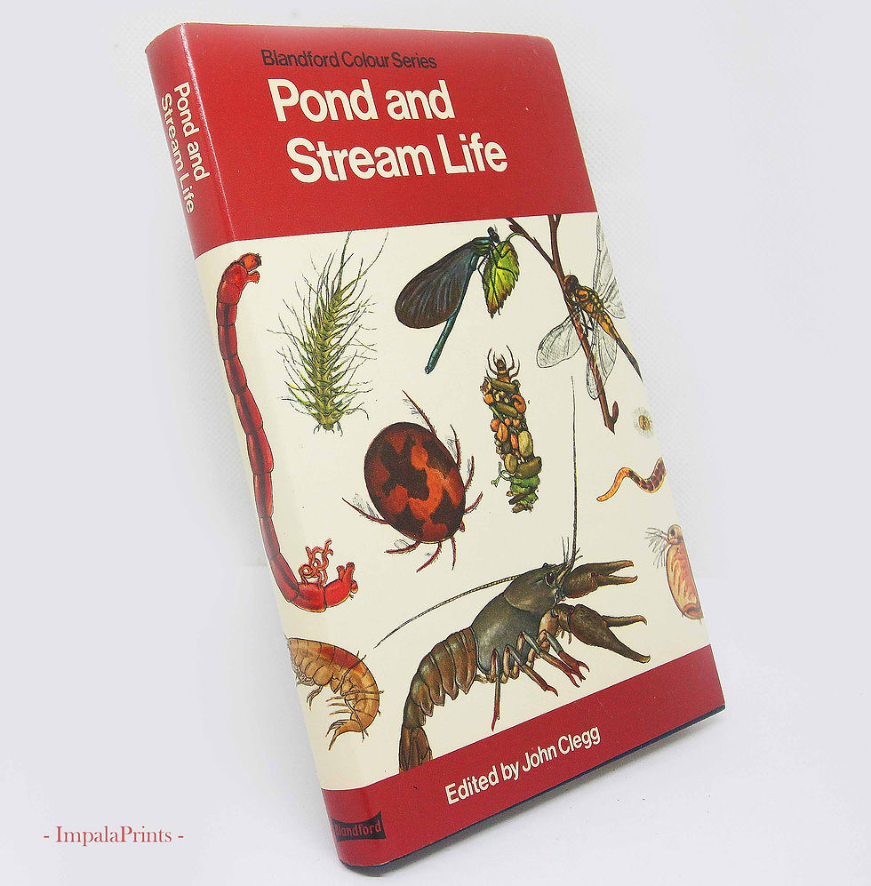 Pond & Stream Life: Vintage 1973 Illustrated Nature Guide – Hardback with Colour