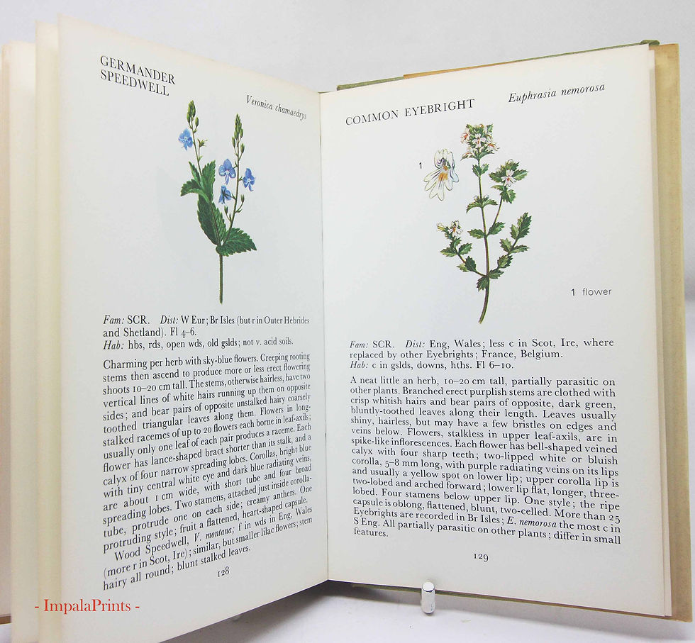 Thumbnail: Wild Flowers Illustrated Plants Flower Picture book Flowers guide Old Retro Vint