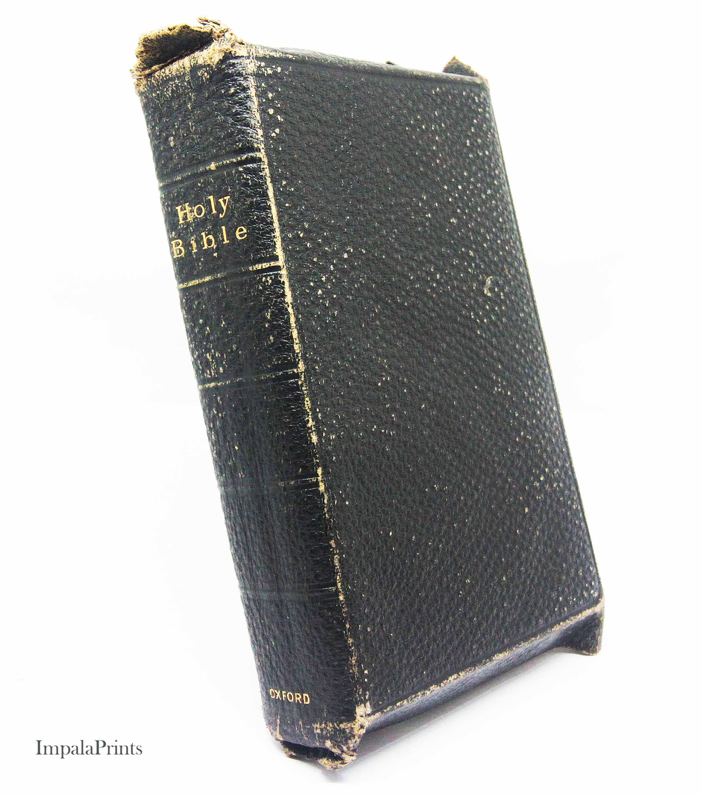 Antique Holy Bible Vintage 1925