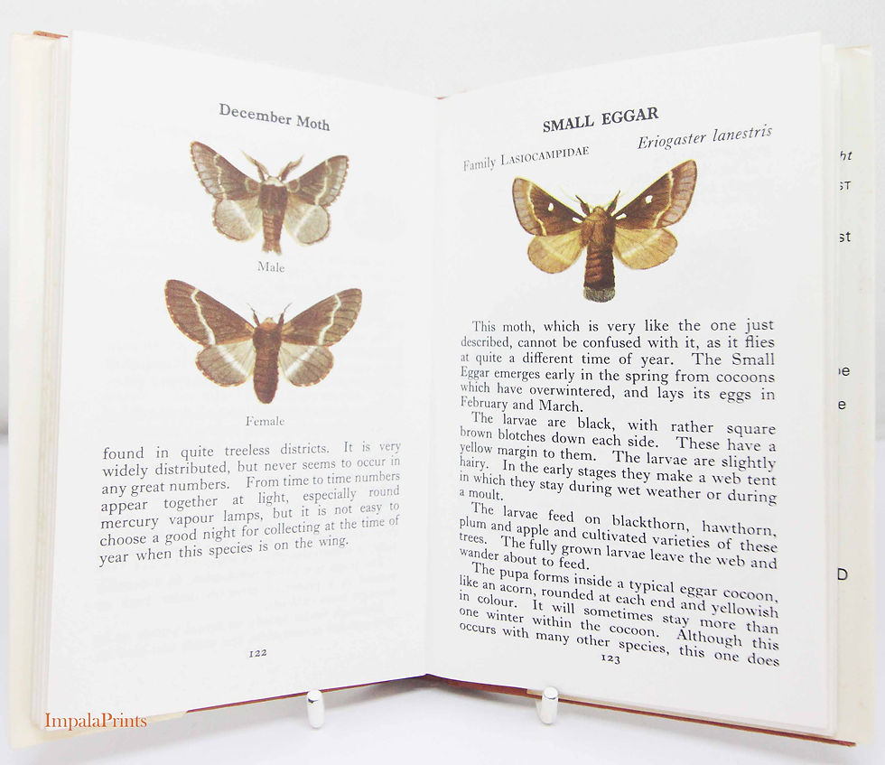 Thumbnail: British Moths illustrated book Lepidopterology picture book Vintage Hardback poc