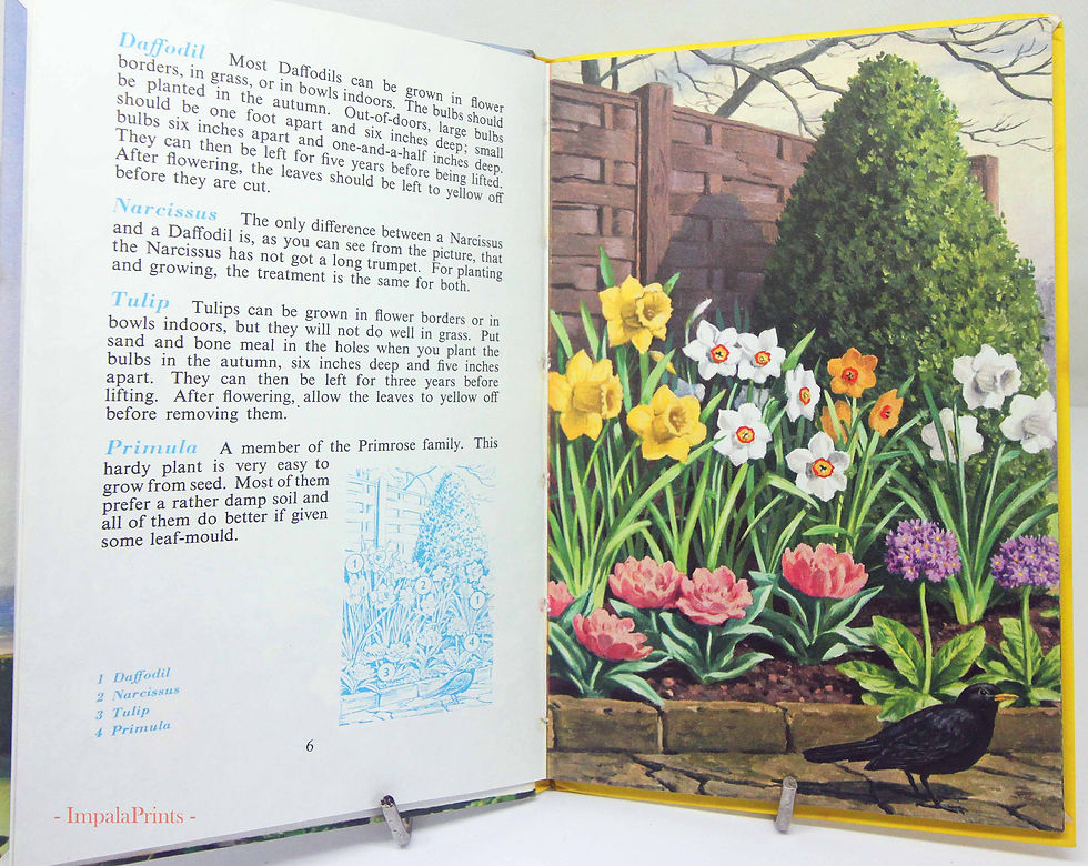 Thumbnail: Garden Flowers Guide ladybird book, vintage Book with Illustrations Children's G
