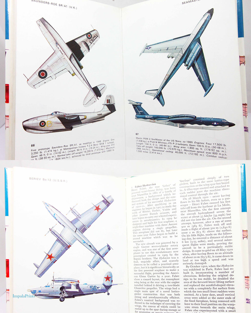 Vintage Flying Boats & Seaplanes: Illustrated Guide