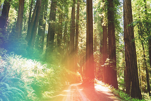 As someone who loves nature, I feel obligated to make high quality photos of natural wonde