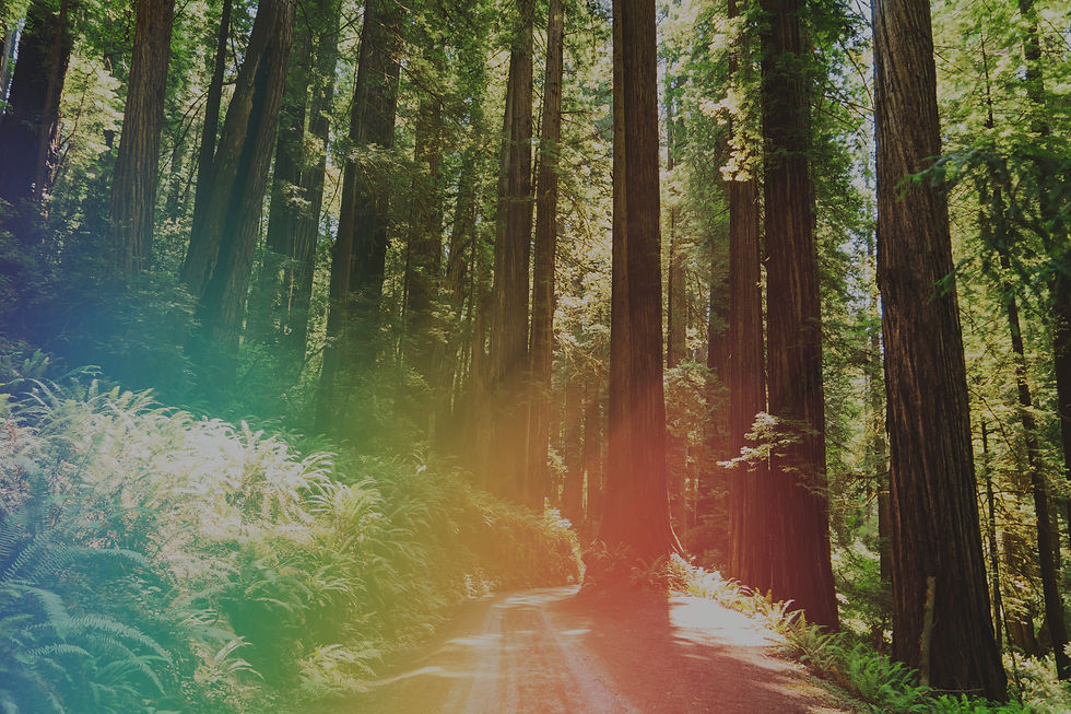 As someone who loves nature, I feel obligated to make high quality photos of natural wonde