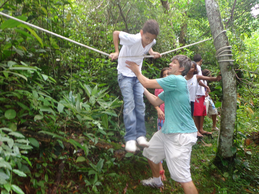 Trabalho colaborativo no bosque
