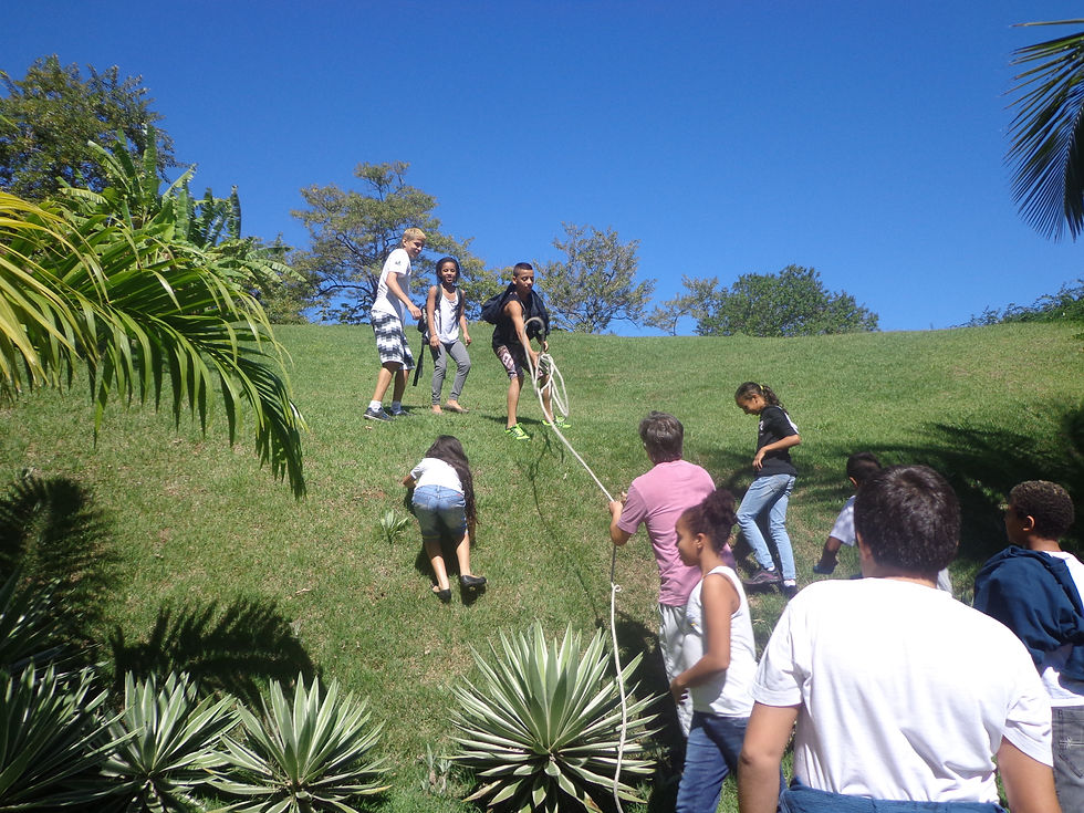 Oficina Colaborativa