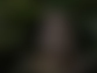 今月のレッスンがスタートしました