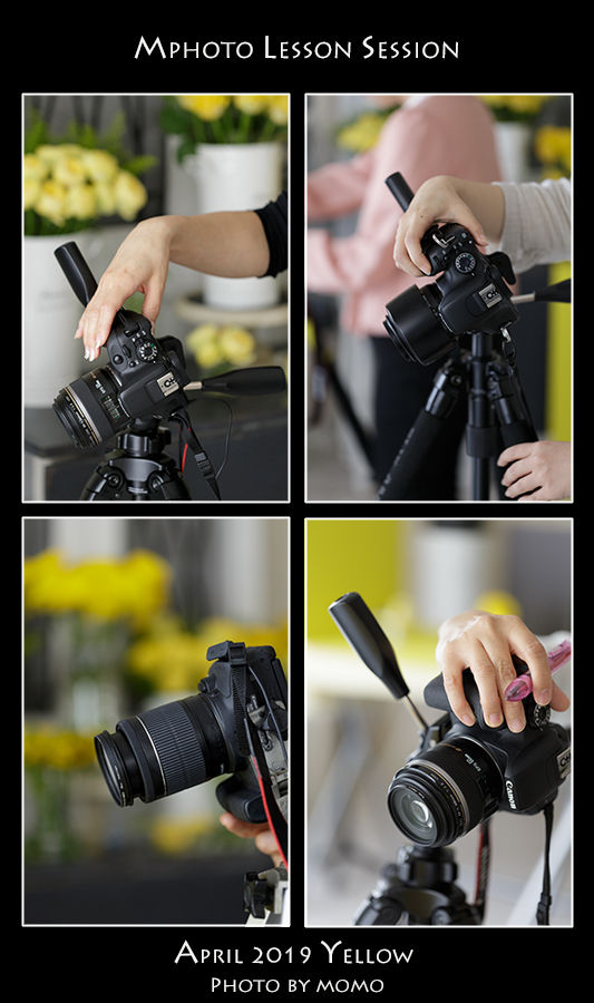 Session_201904