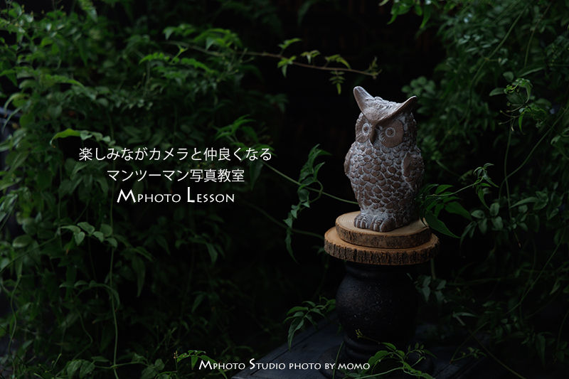 マンツーマンコースレッスン