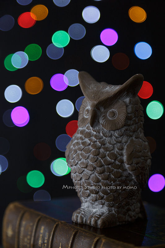 Step3_2_201905