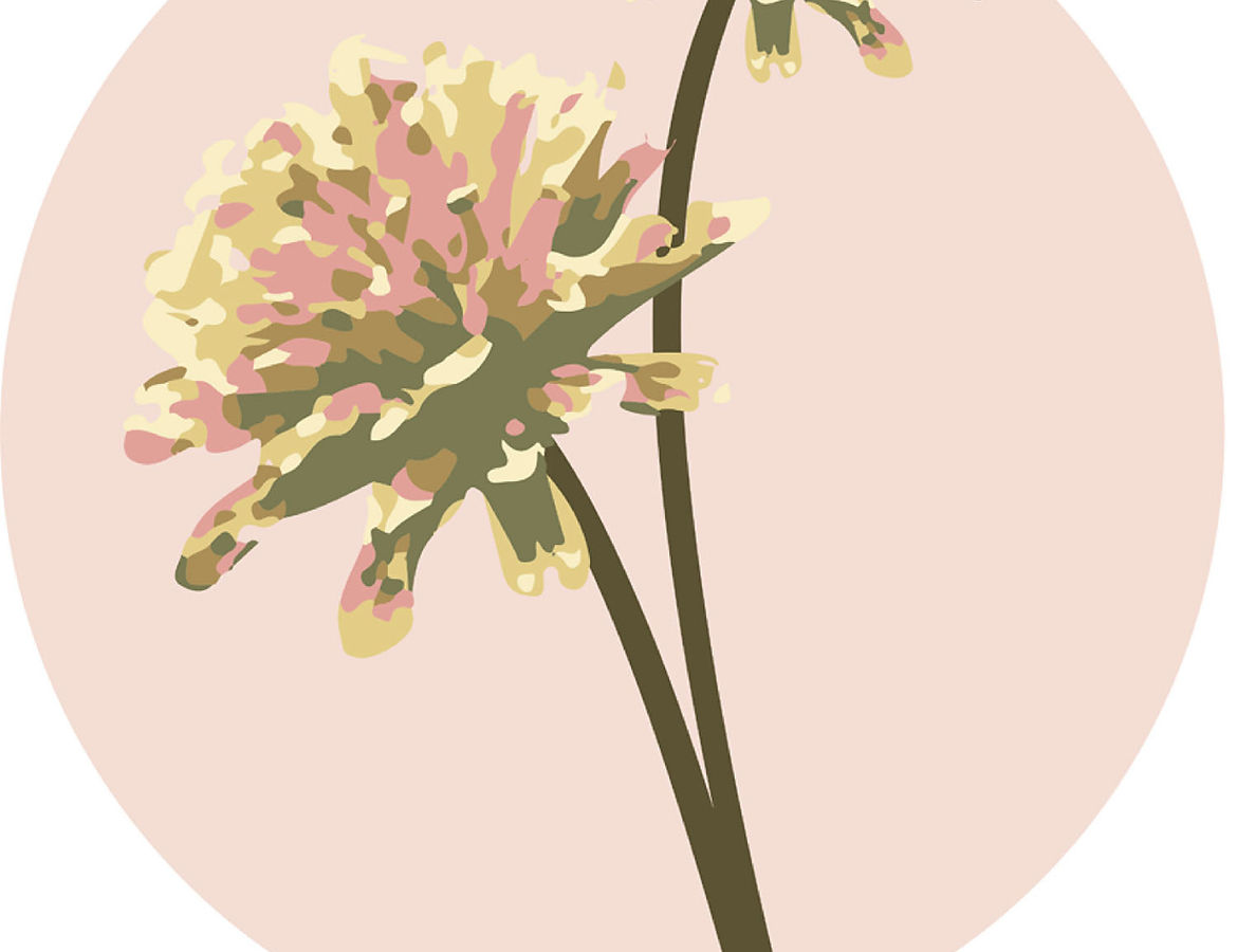 flowers-SJA-2_edited_edited.jpg