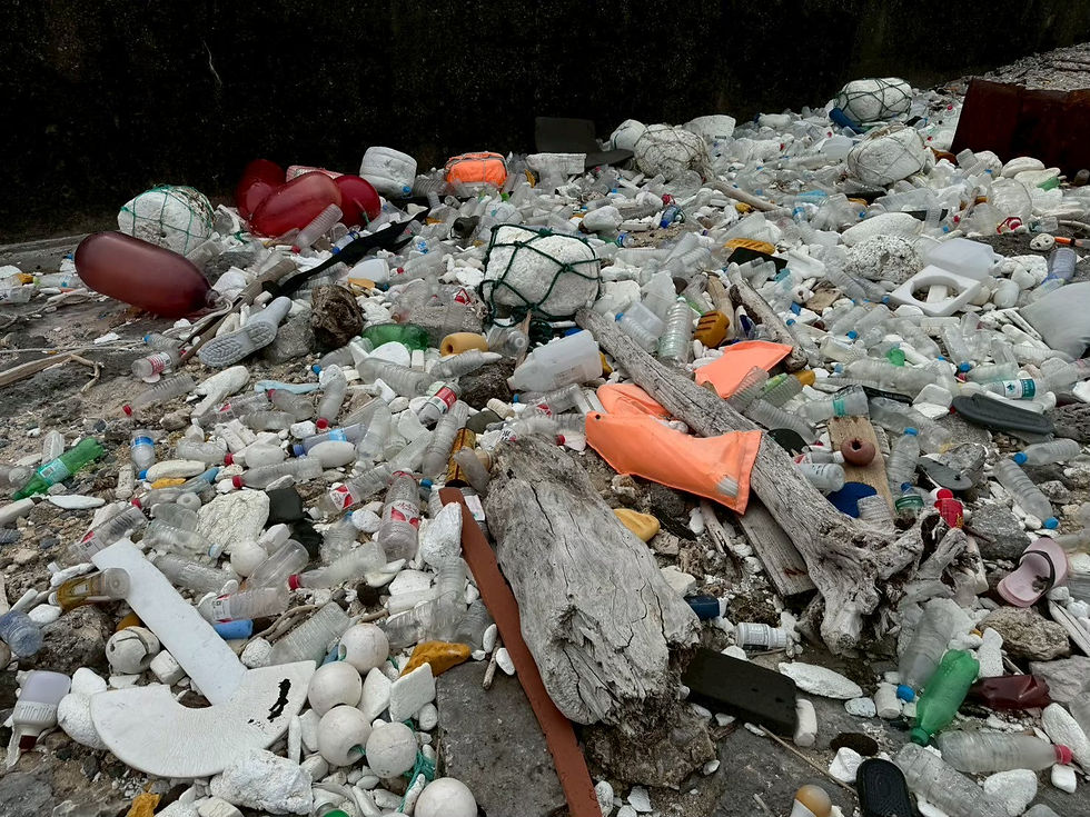 海から流れ着いたゴミの山