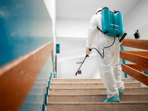 The Importance of Regular Mold Inspections in Commercial Buildings