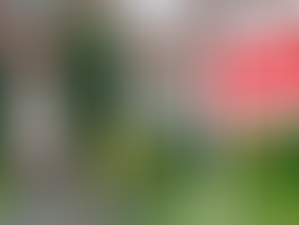 Should I Sell the House During or After Divorce?