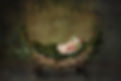 Fantasy Babyfoto Wald