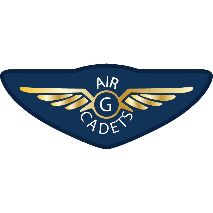 Gold Glider Wings