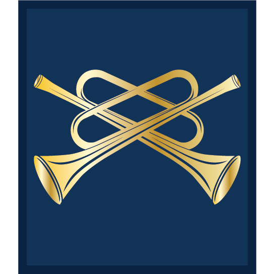 Gold National Musician