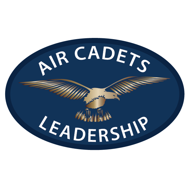 Bronze Leadership
