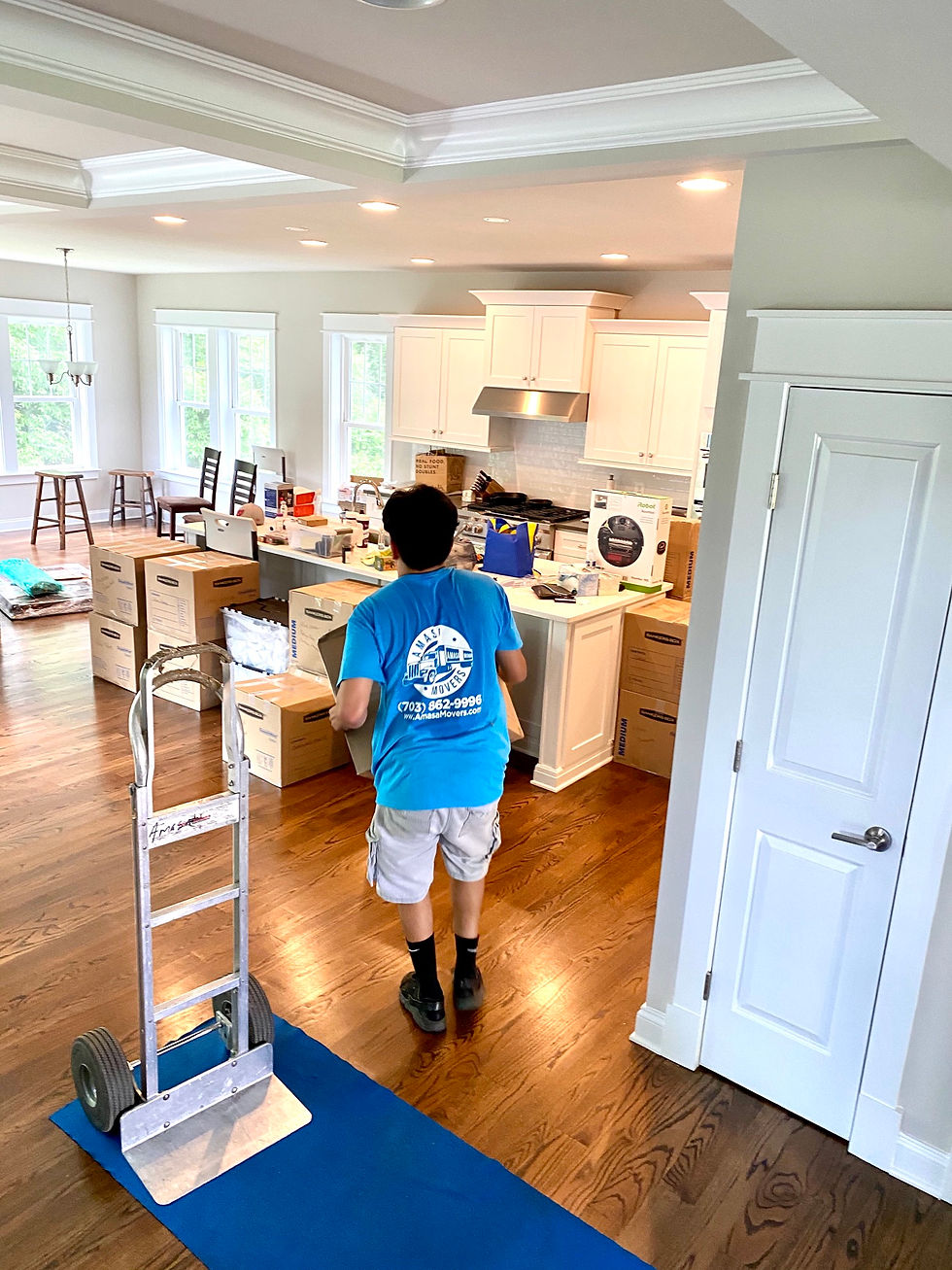 Furniture Moving
