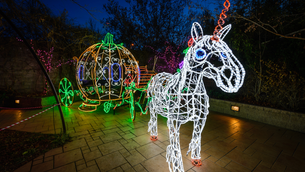 Capacity Management Ticketing: Reduced Wait Times and Better Control for a Christmas Lights Show