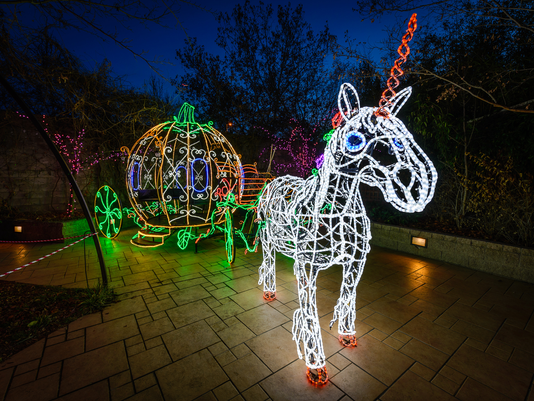 Capacity Management Ticketing: Reduced Wait Times and Better Control for a Christmas Lights Show