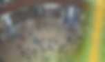 timed entry.png