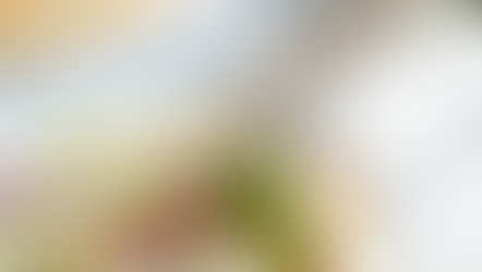 Fancy Greek Gyros Wraps