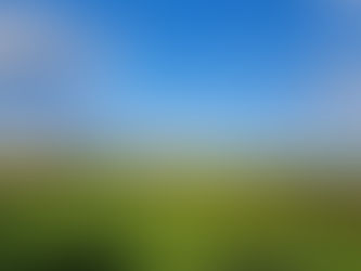 2026 - Il ritorno della primavera