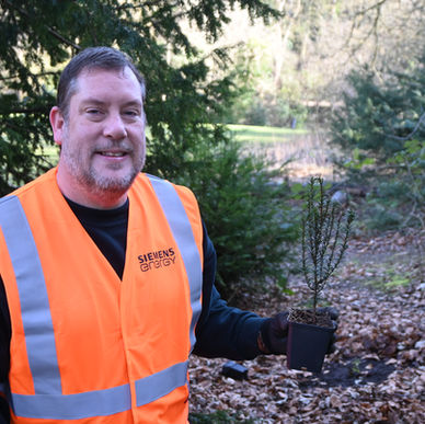 Plant for the Planet: volunteer opportunities