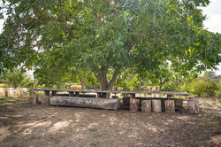 DSC09090