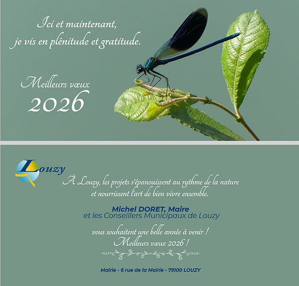 Capture d'écran 2026-01-09 094051.png