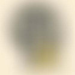 Marchi: le dimensioni contanto