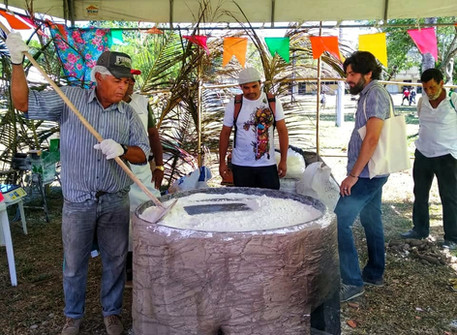 A agroecologia como construção contra-hegemônica