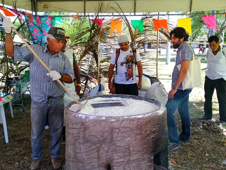 A agroecologia como construção contra-hegemônica