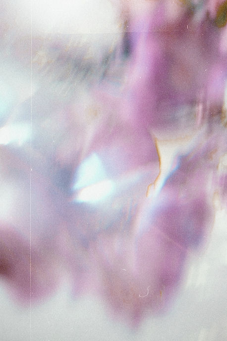 fundo 01.jpg