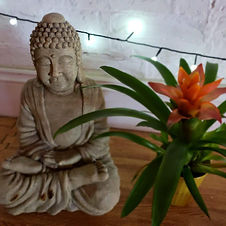 DS presentation pic 3.jpg