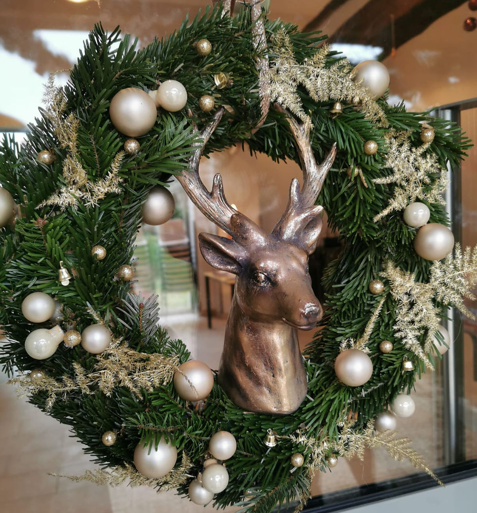 premier noel des hirondelles