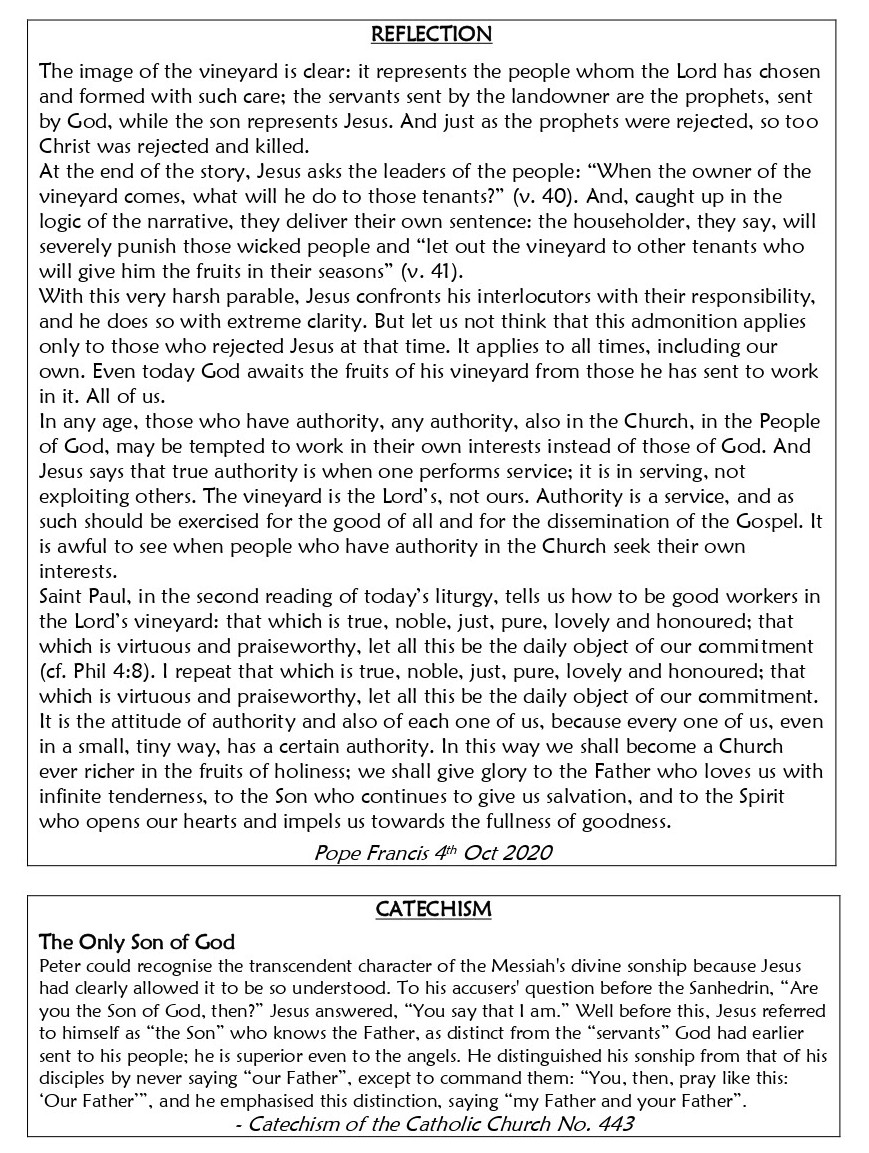 web4- 4th October 2026 -TWENTY-SEVENTH SUNDAY OF ORDINARY TIME.jpg