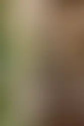 Why Your Renovation in Portugal Takes Twice as Long — and How to Prevent It