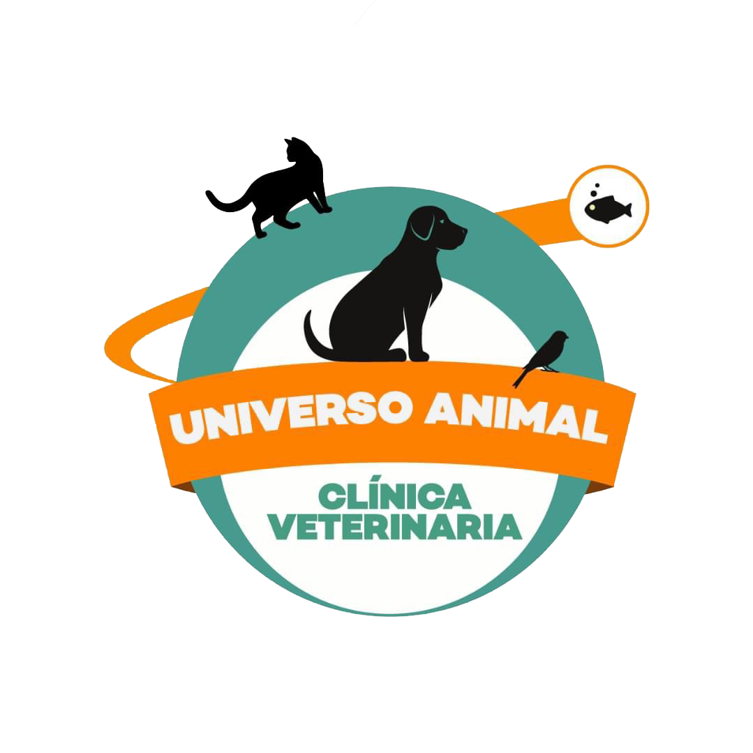 CENTRO VETERINARIO UNIVERSO ANIMAL CENTRO VETERINARIO UNIVERSO ANIMAL