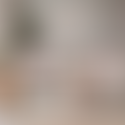 Creating a Safe and Stimulating Environment for Your Cat