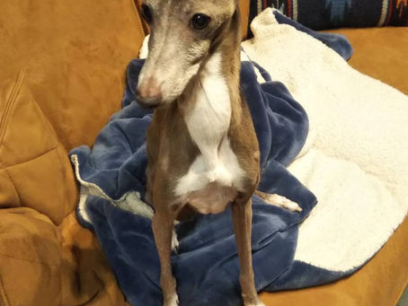 クレールに会いにいってきました