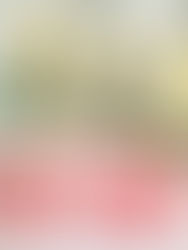 春のタロットオンライン講座告知