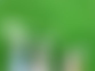 なんだか情けなくも。。