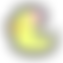 期日を決める!!