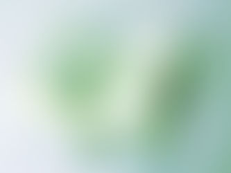 両親との関係性